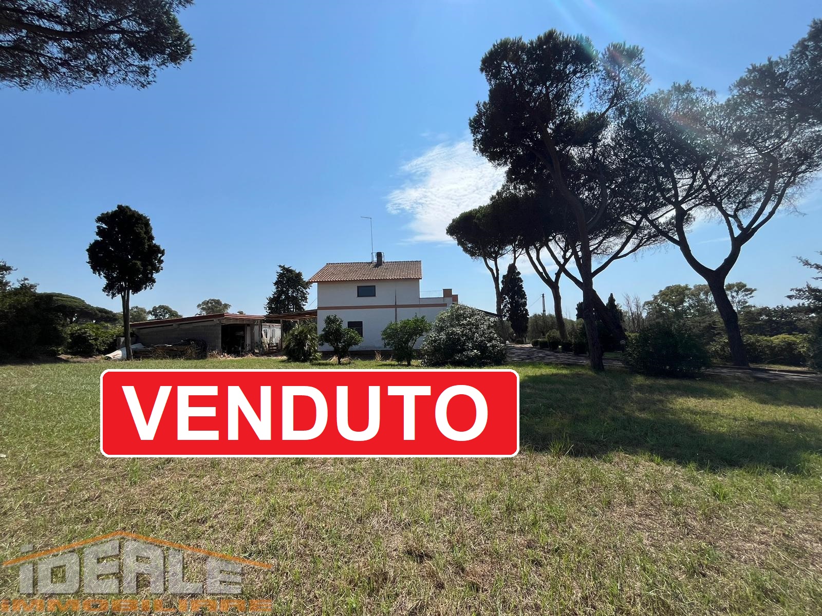 LIDO DEI PINI 259.000€